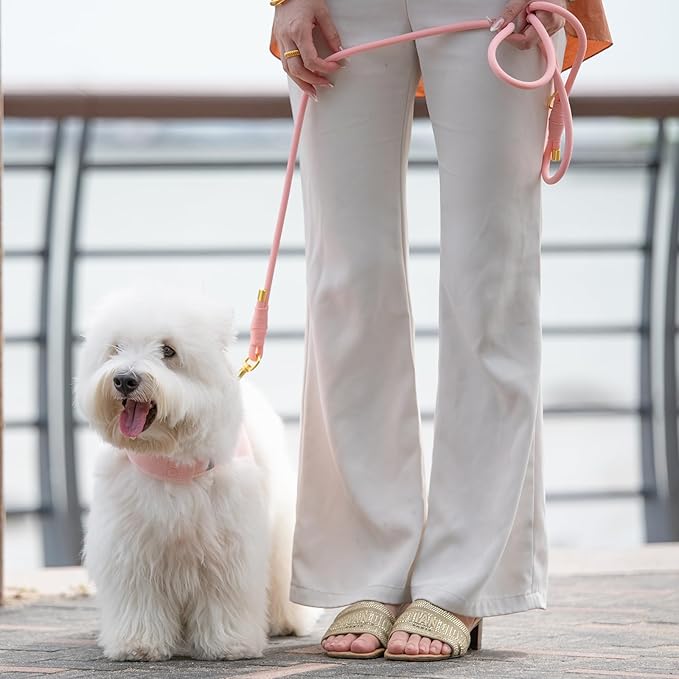 Durable Handwoven Dog Leash for Small & Medium Dogs, 5/16 inch Rope Lead with Anti-Tangle Swivel Clip, Soft & Lightweight, 5FT Long – Ideal for Daily Walking & Training (Light Pink)
