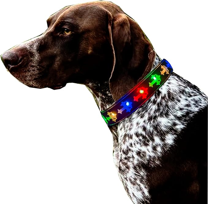 Subversive USB-C led Light up Dog Collar,Star Running LED Design Comfortable and Soft Material,Multicolored Lighting (CR-Black, M(11.8-15.7"))