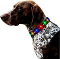 Subversive USB-C led Light up Dog Collar,Star Running LED Design Comfortable and Soft Material,Multicolored Lighting (CR-Black, L(15.7-19.7"))