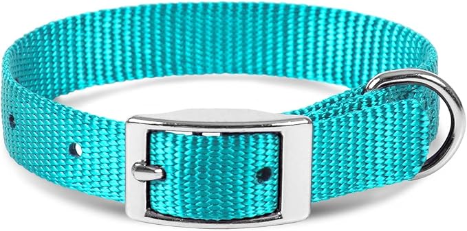 Jeffers Pet Solid Nylon Dog Collars, Turquoise, 8" W x 12" L – Adjustable, Durable & Safe for Dogs, Lightweight & Double Ply Design, Stylish Pet Accessories - Perfect for Training, Walking & Tracker