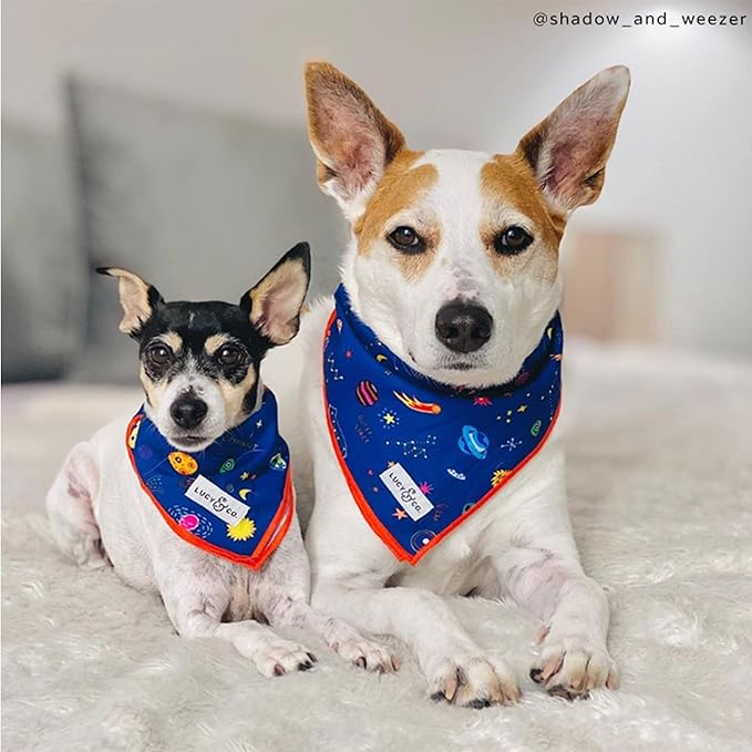 Lucy & Co. Dog Bandana - Designer Puppy Accessory for Boy and Girl Dogs. Made of 100% Polyester. Soft, Stylish and Appropriate for Any Occasion. Machine Washable.