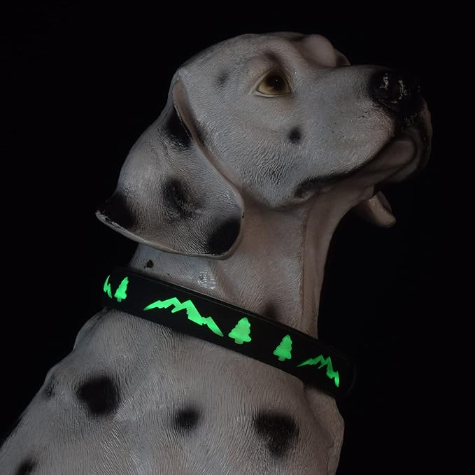 LED Dog Collar, 15 Light Modes, USB-C Rechargeable, Silicone Material, Adjustable Size, (Black, S(7.87-11.8"))
