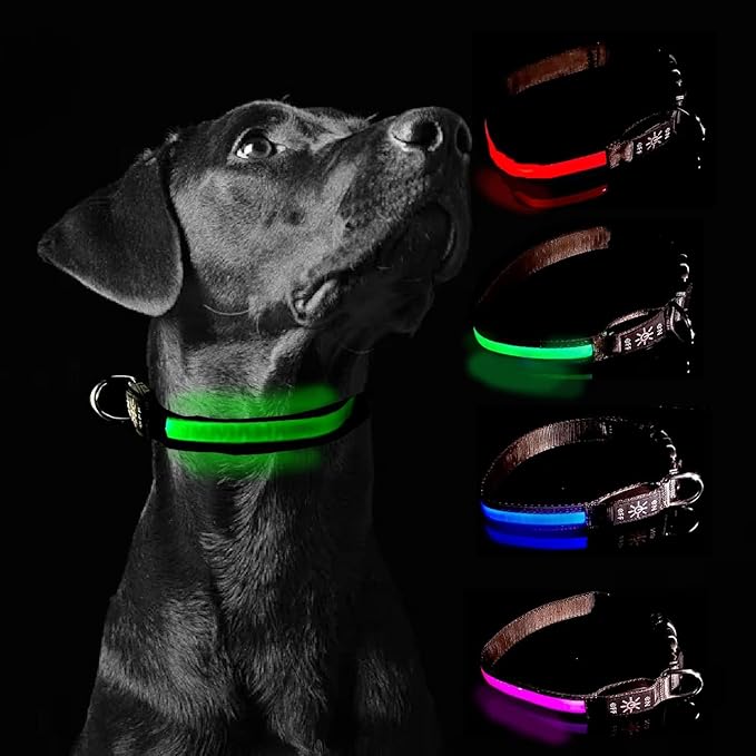 Glow Fetch It! HD Ultra Bright LED Safety Dog Collar, Adjustable, USB Rechargeable with 3 Modes, Water Resistant, Extremely Durable and Easy to Clean (Green, Medium)