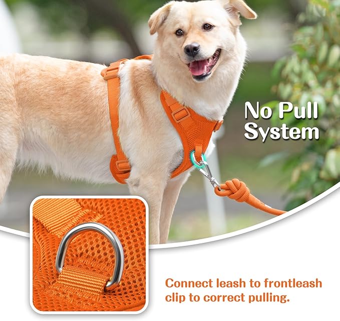 No Pull Dog Harness for Small Medium Large Dogs - Adjustable 2 Layer Mesh Dog Vest with Dual Clip, Escape Proof, Quick Release, Lightweight Breathable Mesh for Walking Hiking (Orange,XS)