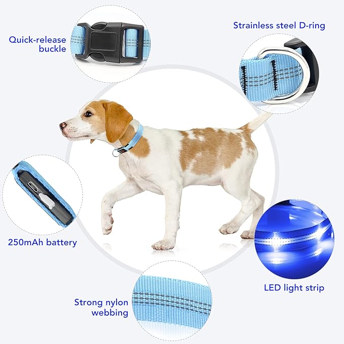 Weesiber Light Up Dog Collars - Rechargeable LED Collar - Reflective Adjustable Dog Lights for Night Walking (Blue, Large)