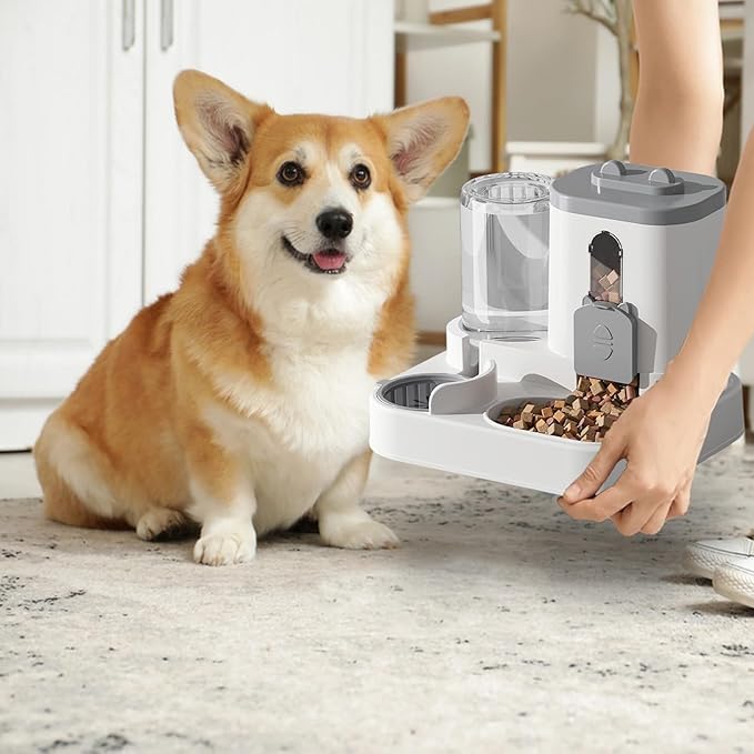 Automatic Pet Feeder - 10 Inches Food Dispenser for Dogs and Cats with Function, Large Bowl for Scheduled Meals and Treats, Home Indoor Feeding Solution Small Medium Dogs Kitten Animal