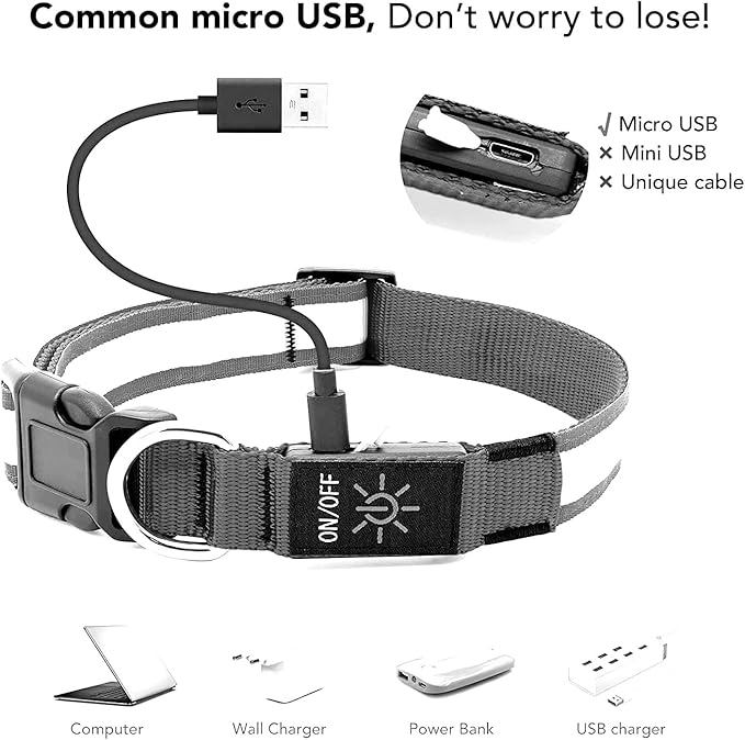 Glow Fetch It! HD Ultra Bright LED Safety Dog Collar, Adjustable, USB Rechargeable with 3 Modes, Water Resistant, Extremely Durable and Easy to Clean (Green, Medium)