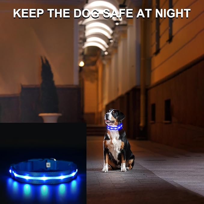 CHUKCHI LED Dog Collar Rechargeable,Waterproof Flashing Collar,Light Up Glow Collar, Adjustable Soft Safety Light Up for Small Medium Large Dogs Walking Camping at Night (Blue-S)