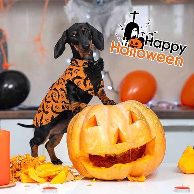 Kuoser Dog Tuxedo Suit and Bandana Set, Bat Pumpkin Print Dogs Halloween Outfit Adjustable Dog Halloween Costume with Bow Tie for Large Medium Small Dogs Golden Retriever Samo Bulldogs, Orange M