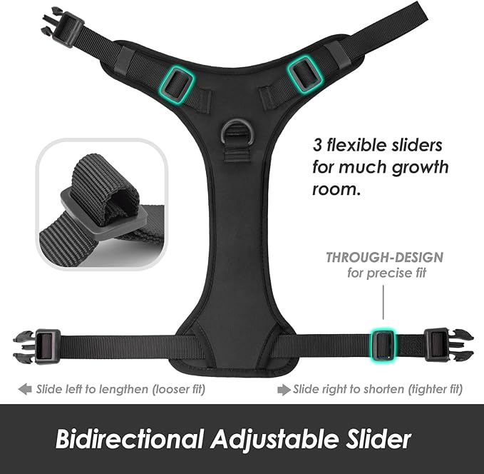No Pull Dog Harness, Puppy Vest with Front Clip for Small Medium Large Sized Dog (Black,L)