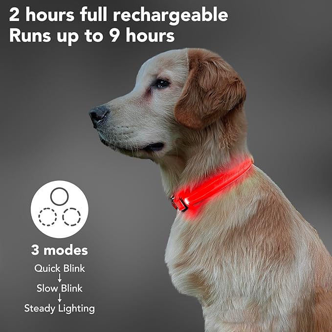 LED Light Up Dog Collars Micro USB Rechargeable Waterproof, Full Adjustable Lighted Glow Dark Dog Collar Light for Night Walking for Small Medium Large Dogs, Red