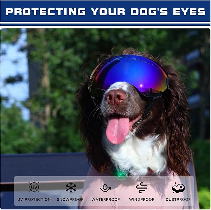 Dog Goggles UV400 Protection,Ski Goggles for Large Breeds with Adjustable Strap, Dog Sunglasses with Comfort-Focused Frameless Design - UV-Resistant/Windproof/Snowproof for Running,Cycling (Blue)