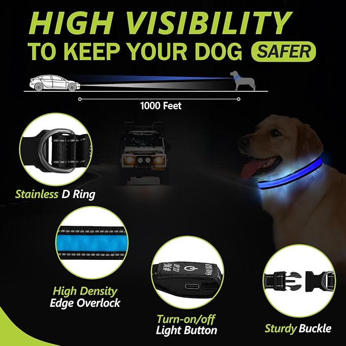 Led Glowing Dog Collars, Lighted Dog Collars for Night, Dog Glow Collar Rechargeable, Light Up Dog Collar for Small Dogs (Blue, Pack of 1, S)