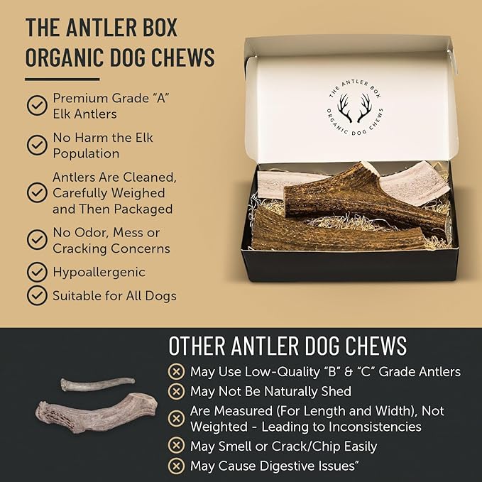 The Antler Box Premium Elk Antler Dog Chews (1 Pound Box) (Large (3 Pieces) Split Only)