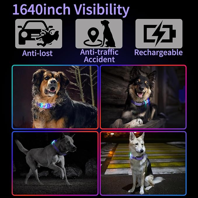 Rechargeable LED Dog Collar Suit for Small Large Dog, Dazzling Glow-in-The-Dark Light Collar, Prevent Traffic Accident Anti-Stampede Pet Supplies Glowing Collar (Purple)