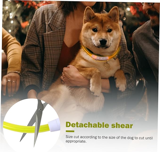 Led Glowing Dog Collar USB Rechargeable Pet Collar for Night Safety Stylish Yellow for Evening Walks and Camping