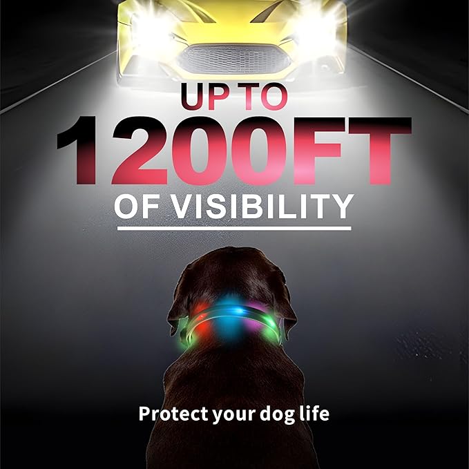 Light up Dog Collars,LED Dog Collar Rechargeable,Glow in Dark Dog Lights for Walking at Night for Small Medium, Large Dogs (Purple Pink)