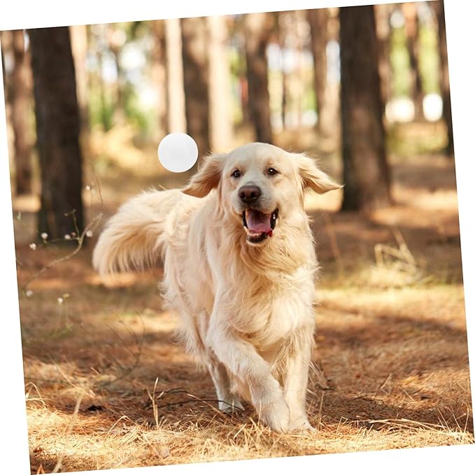 balacoo Scent Training Tool for Dogs Adaptable Nose Work Equipment for Scent Detection and Agility Training for Search and Tracking Dogs