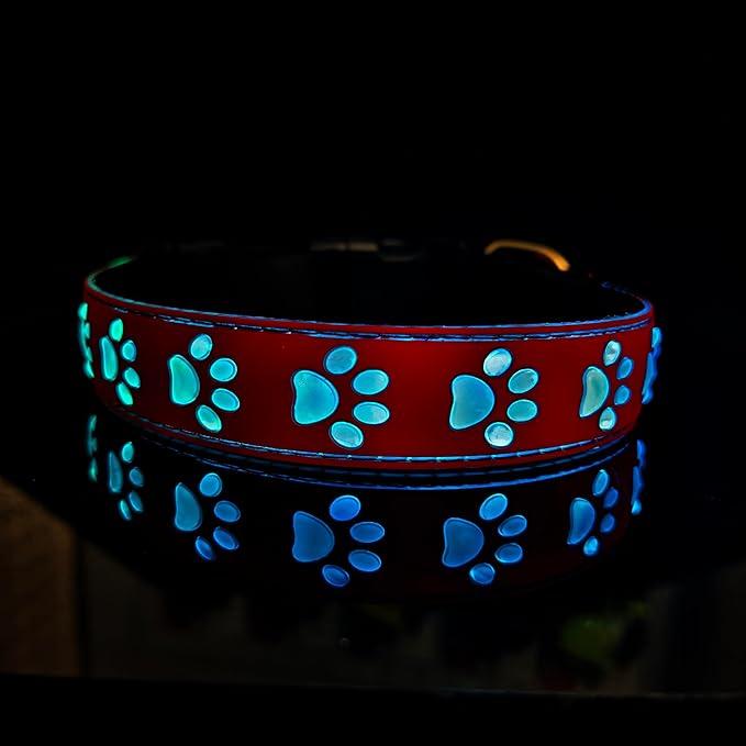 Subversive USB-C led Light up Dog Collar, Subversive 3D Cross Design Comfortable and Soft Material,Multicolored Lighting (PAW-RED, XS(7.87-11.8"))