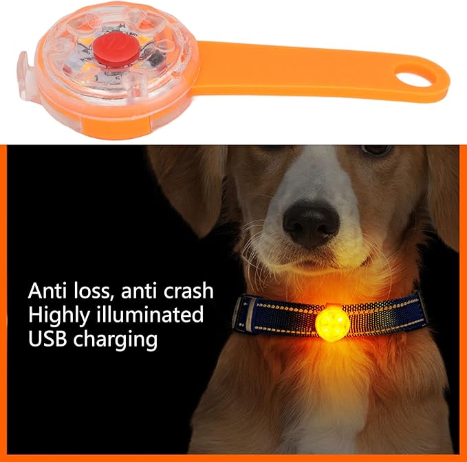 LED Dog Light Pendant USB Rechargeable Safe Collar Light for Pet Bag Bike (Orange)
