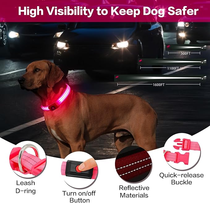 Light Up Dog Collar for Night Walking Flashing, LED Dog Collar Light Rechargeable Reflective Dog Collar Water-Resistant Adjustable Size Dog Collars for Medium Dogs
