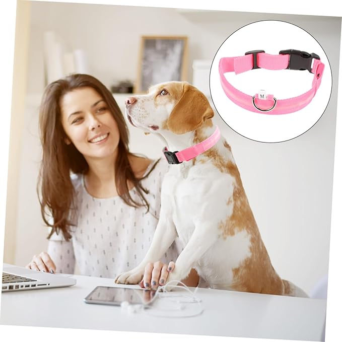 KESYOO 1set Pet Dog Collar Led Flashing Necklace for Rechargeable Glow The Dark Pet Accessory Material for Night Visibility