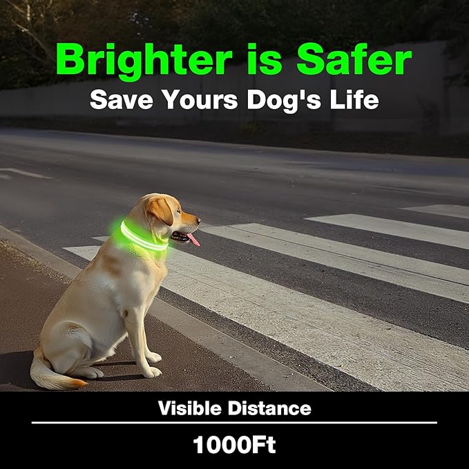LED Dog Collar, Light Up Dog Collar, Lighted Dog Collars Adjustable for Night Walking, Glow in The Dark Dog Collars Light with USB Rechargeable Color Changing Waterproof for Dogs (Green, Small)