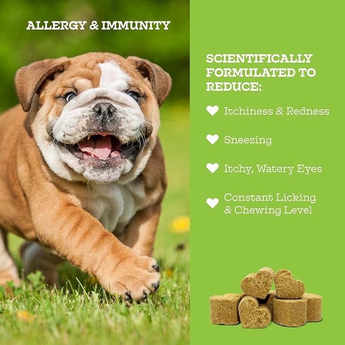 Moe’s Allergy and Immune Chews for Dogs – 90ct Soft Dog Allergy Supplement Bites for Itchy Skin, Seasonal Allergies and Skin Health – Vet-Formulated (Savory Chicken)