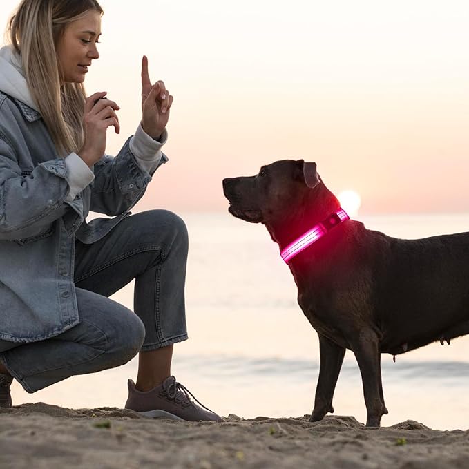 Light Up Dog Collar for Night Walking Flashing, LED Dog Collar Light Rechargeable Reflective Dog Collar Water-Resistant Adjustable Size Dog Collars for Medium Dogs