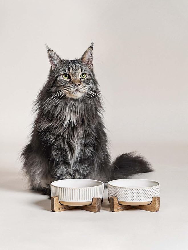 LE TAUCI PET Dog and Cat Bowl Set with Acacia Wood Stand - 2 Cup Ceramic Puppy Bowls for Cats &Small Dogs, Dual Food and Water Bowls with Weighted Non-Slip Base, Lines+Dot