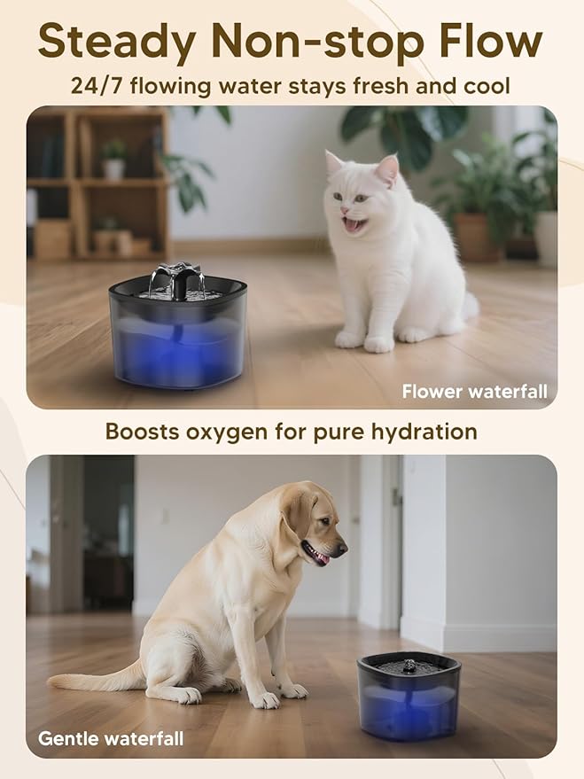 Automatic Cat Feeder and Water Fountain, 5L/20 Cups Timed Cat Dry Food Dispenser, 10s Meal Call, 20 Portions 6 Meals Per Day, 2L Cats Fountains for Drinking with Filter, Pet Feeder for Dog White