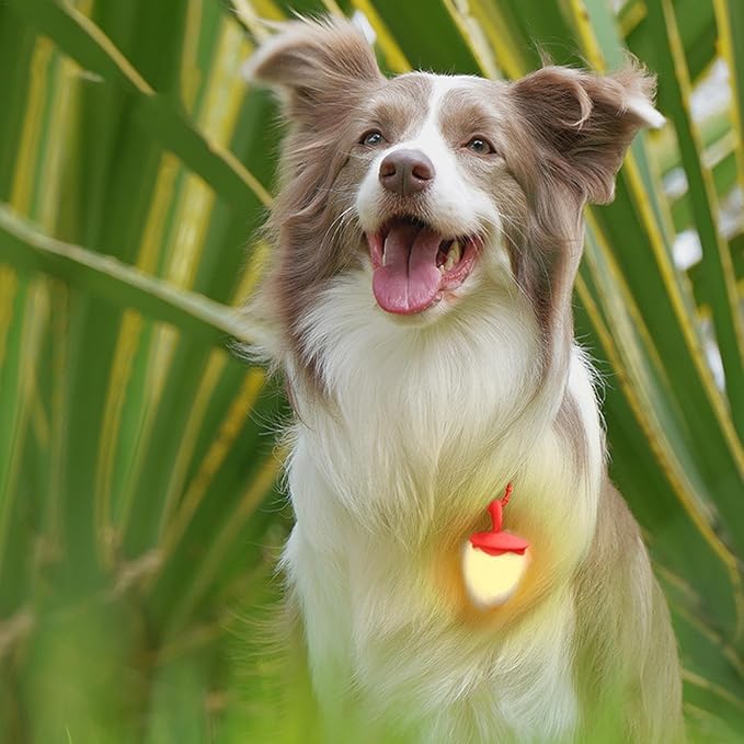 Waterproof Dog Night Light - Flashing Modes Collar Light, Sturdy Walking Light | Three Bright Flashing Modes, Ideal for Nighttime Dog Walking, Running, Biking, Increased Visibility and Safety in Low