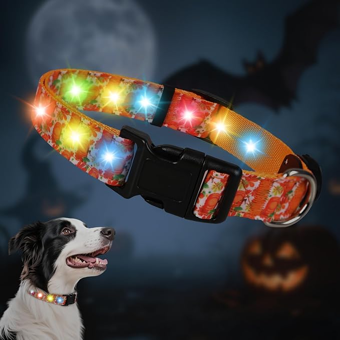 Halloween Light Up Dog Collar, LED Dog Collar Glow in The Dark - USBC Rechargeable, 3 Flashing Modes, Fashionable Cute Glowing Dog Light Up Collars for Medium Large Dogs, L