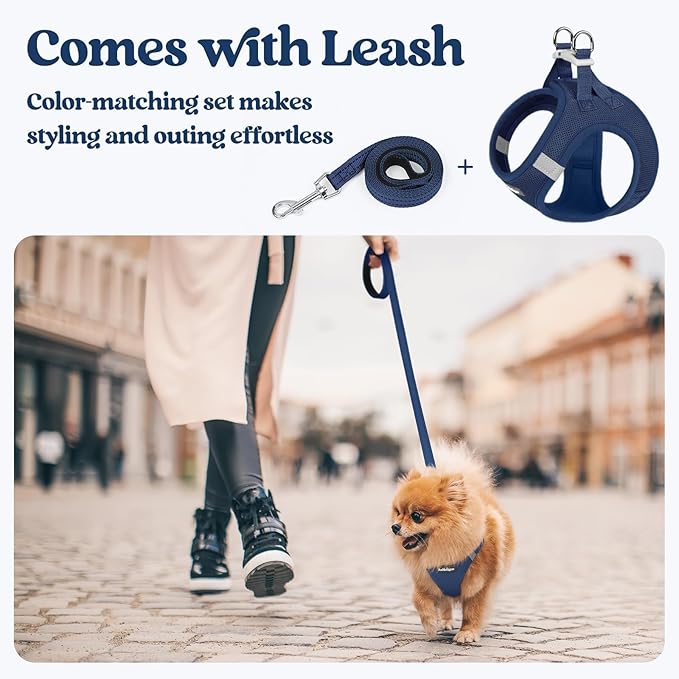 rabbitgoo Dog Harness Small Sized and Leash Set, Step in Soft Light Puppy Vest, Breathable Mesh Pet Harness, Reflective for Safe Outdoor Walking, Navy Blue XXS