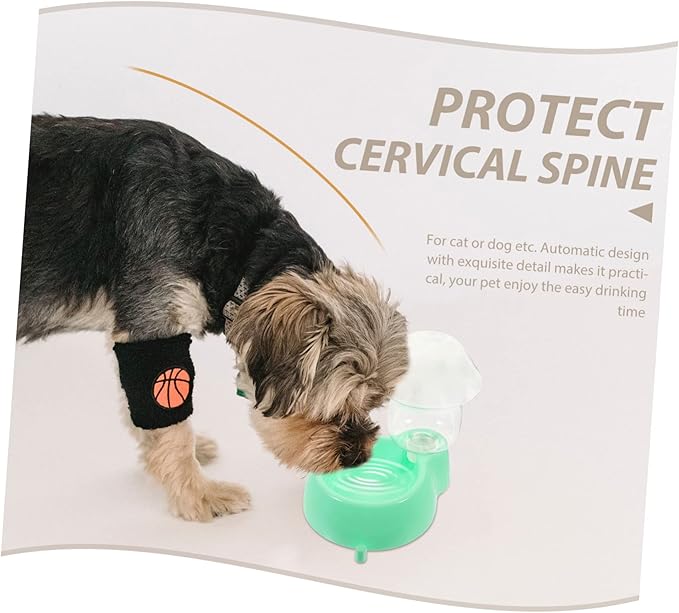 BESPORTBLE Automatic Pet Water Dispenser Transparent Water Feeder for Dogs and Cats Durable Plastic Drinking Bowl Compact and Easy to Clean for Home Travel