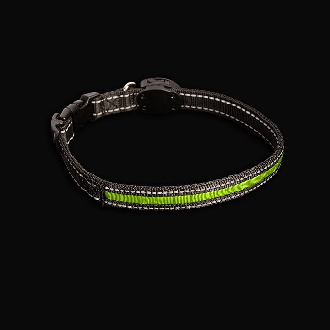Sherry Kline LED Light-Up Pet Collar - USB Rechargeable - Flashing Glow in The Dark Size Medium, Color: Green