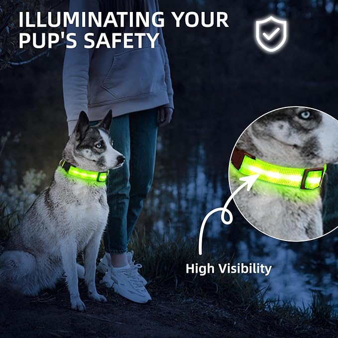 LED Dog Collar for Small Dogs Cats - Fully Waterproof & Adjustable Glow Collar - USB-C Rechargeable for Night Walking, Safety - Flashing Lighted Collar for Dogs(Green,XS)