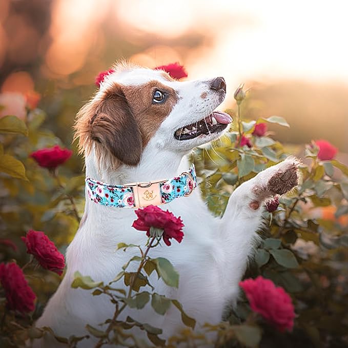 Elegant Pink Floral Print Summer Dog Collar - Cotton, Durable, Metal Buckle for X-Small Dogs