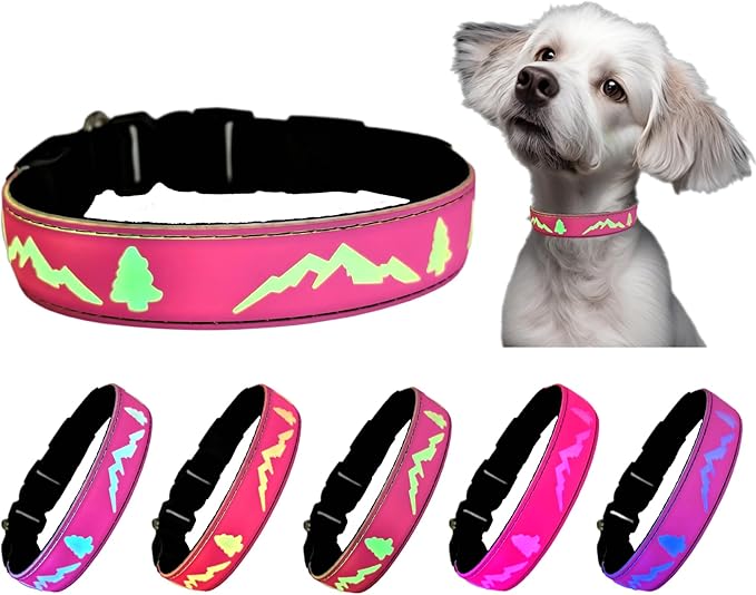 Personalized USB-C led Light up Night Dog Collar for Black Dog with Waterproof airtag Holder,Xmas Hallowmas Dog Collar (Pink, M(11.8-15.7"))