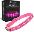 Blazin Light Up Dog Collar - The Original LED Dog Collar - USB Rechargeable - Waterproof - 1,000 Feet of Visibility - Dog Collar Light for Small, Medium, Large Dogs - USA Brand