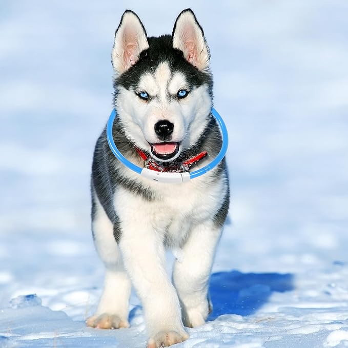 YARNOW USB Rechargeable 70cm Blue Fiber Optic Dog Collar LED Luminous Night Safety Collar for Pets