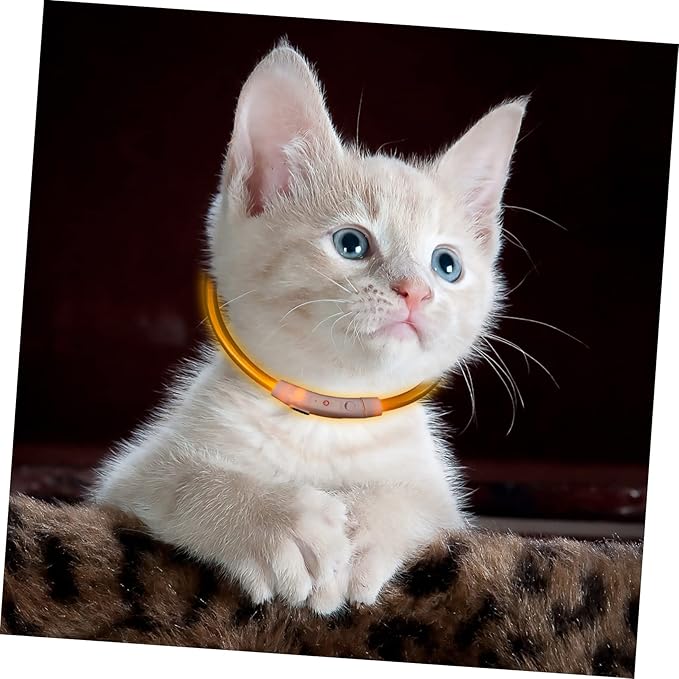 Totority Led Rechargeable Dog Collar Glow Collar for Dogs Plastic Puppy USB Cable