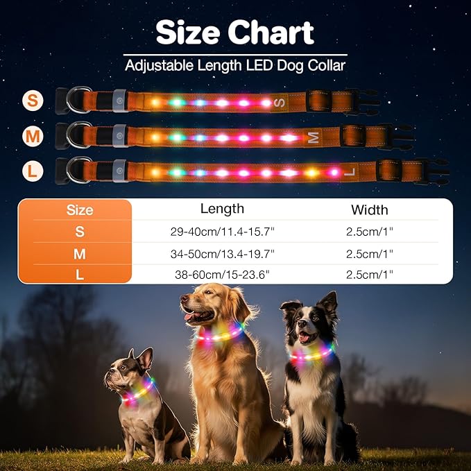 Light Up Dog Collar, USB Rechargeable 6 Modes, Waterproof Charging Port, Long Lasting LED Collar - Adjustable Nylon Reflective for Dogs, Sizes S/M/L (7/9/11 Lights) - 5 Colors (Orange, S)