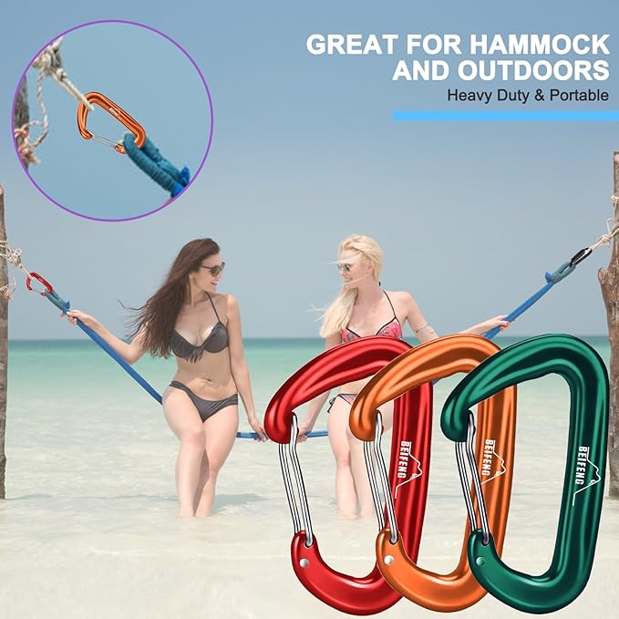 BEIFENG Heavy Duty Lightweight Locking Carabiner Clips D Ring for Camping Hiking Outdoor Gym etc, Carabiner with Lock Small Carabiners for Dog Leash & Harness