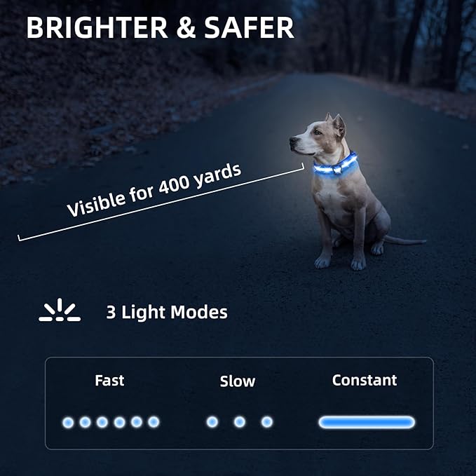 LED Dog Collar for Small Dogs Cats - Fully Waterproof & Adjustable Glow Collar - USB-C Rechargeable for Night Walking, Safety - Flashing Lighted Collar for Dogs(Blue,XS)