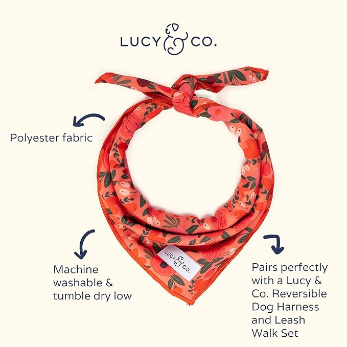 Lucy & Co. Dog Bandana - Designer Puppy Accessory for Boy and Girl Dogs. Made of 100% Polyester. Soft, Stylish and Appropriate for Any Occasion. Machine Washable.
