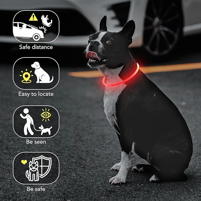 Colaseeme LED Dog Collar, Light Up Dog Collar 1 Count USB Rechargeable TPU Glow Safety Dog Necklace Light, Dog Lights for Medium Large Dogs (Red)