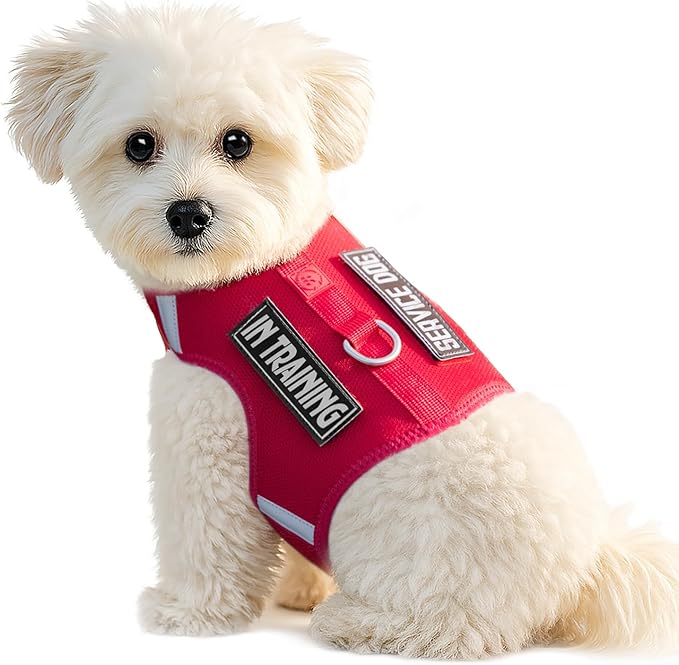 Dog Harness for Puppy – Adjustable Reflective Easy Put On Soft Mesh Vest for Small Dogs with 2 Patches (Burgundy Red,S)