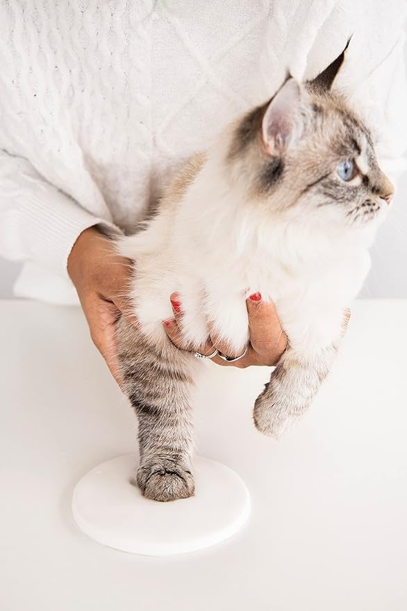 Pearhead Clay Pawprint Christmas Ornament, Pet Owner Holiday Gift, Dog or Cat Paw Print Keepsake, DIY Pawprint Hanging Ornament, Classic Red Ribbon