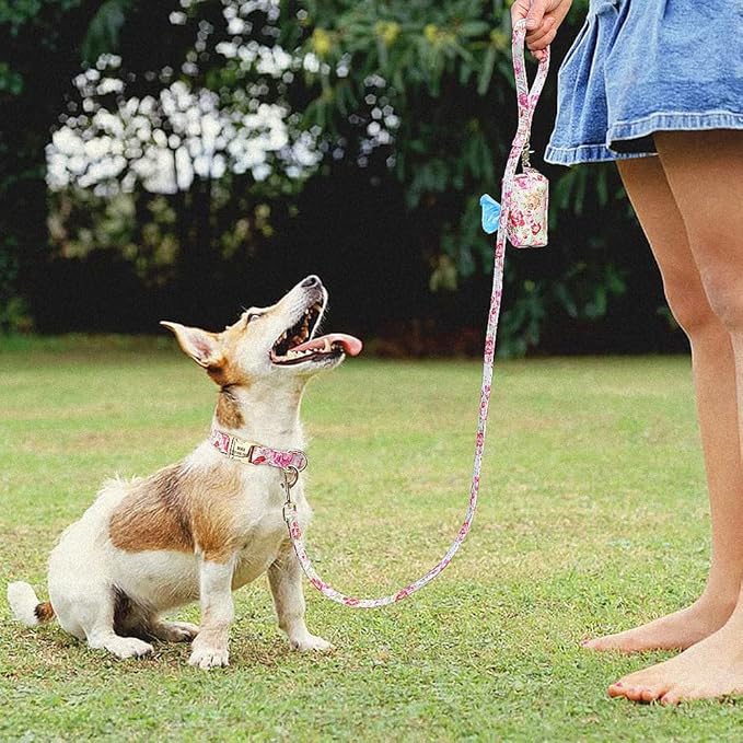 Flower Dog Collar Leash Set Custom Small Medium Large Dog Pet Collars Floral Print Nylon Dog Collars with Treat Bag Snack Bag Pink Set S